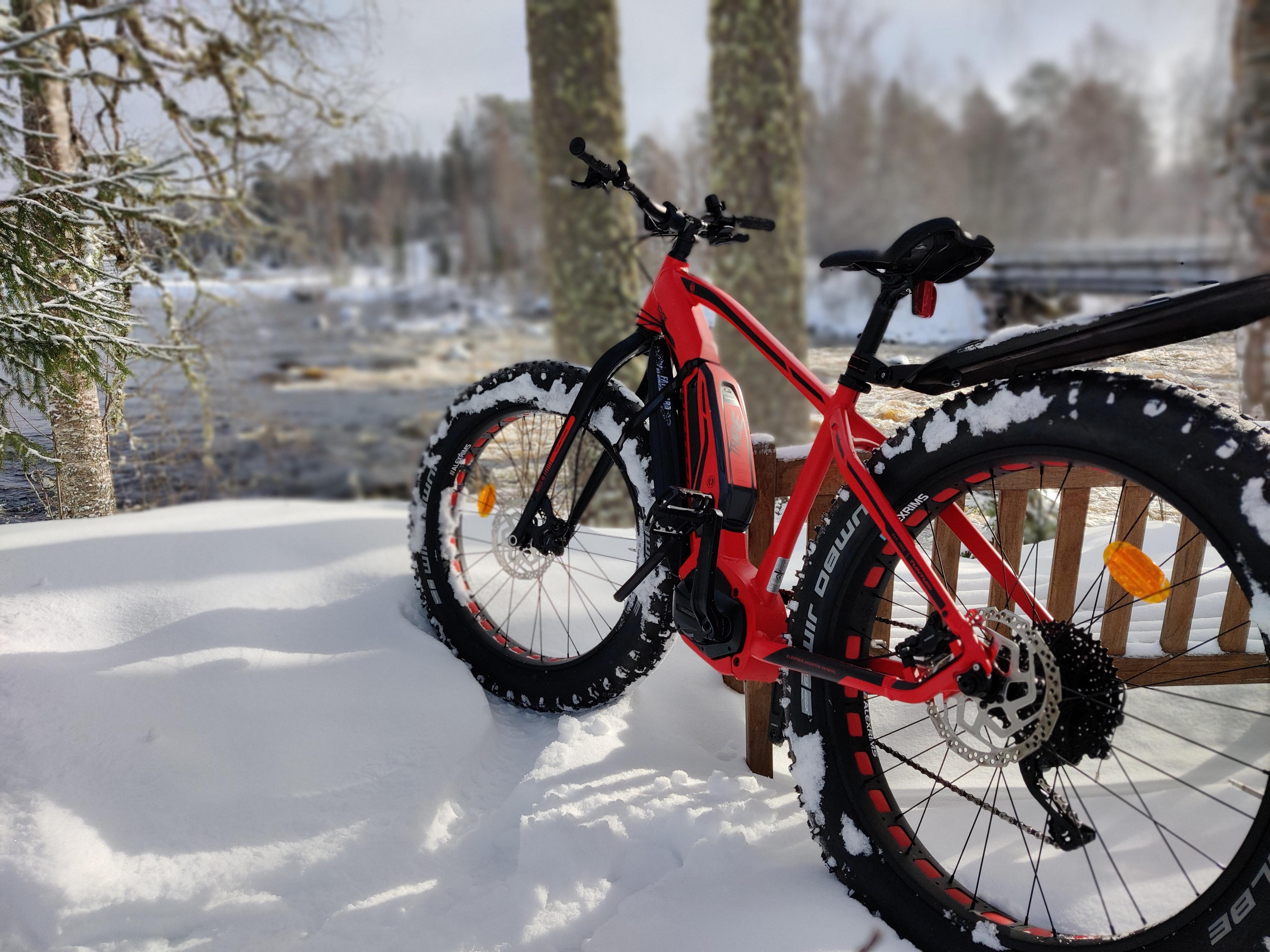 E-fatbike